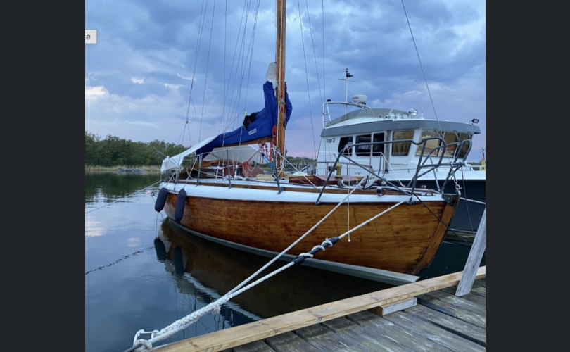 Laurin Koster 32-kuva-1